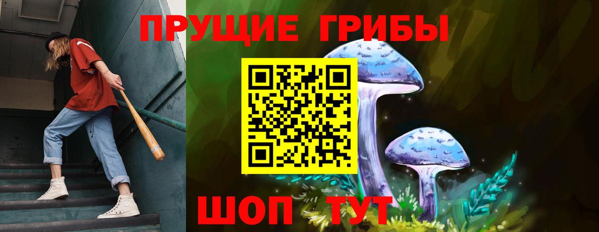 Владикавказ  Галлюциногенные грибы мухоморы  Вход с VPN 